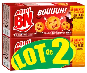 BISCUITS MINI BN