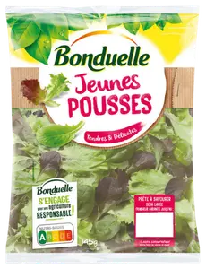JEUNES POUSSES BONDUELLE