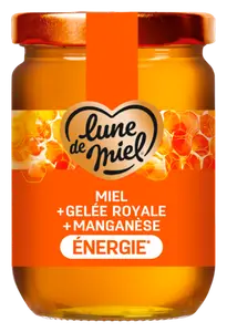 MIEL+ GELEE ROYALE + MANGANESE ENERGIE LUNE DE MIEL