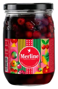 MERLINE FRUITS A LA LIQUEUR GRIOTTES SAUVAGES GRANDES DISTILLERIES PEUREUX 15°