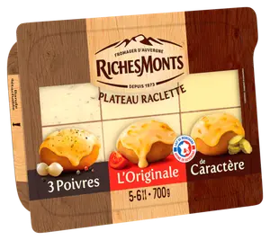 FROMAGE PASTEURISE EN TRANCHES POUR RACLETTE RICHESMONTS