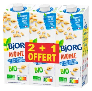 BOISSON VEGETALE BIO BJORG