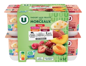 YAOURTS AUX FRUITS AVEC MORCEAUX U