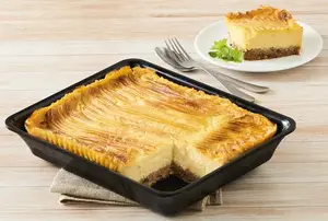PARMENTIER DE CANARD U
