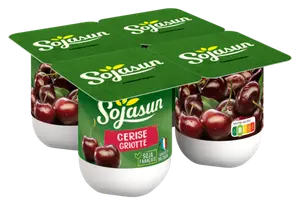Dessert Vegetal Sojasun