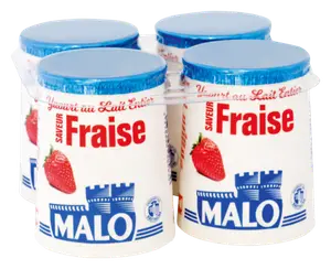 YAOURT AU LAIT ENTIER AROMATISE MALO
