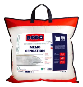 OREILLER MEMO SENSATION 60X60CM
