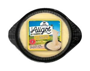 ALIGOT DE L'AUBRAC JEUNE MONTAGNE