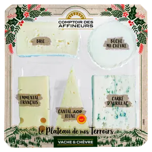 PLATEAU DÉGUSTATION 5 FROMAGES LAIT PASTEURISÉ COMTPOIR DES AFFINEURS