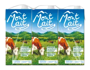 LAIT DE MONTAGNE DEMI-ECREME STERILISE UHT MONT LAIT
