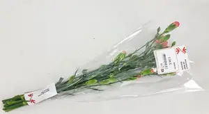 BOUQUET DE 7 MINI ŒILLETS PRIX MINI