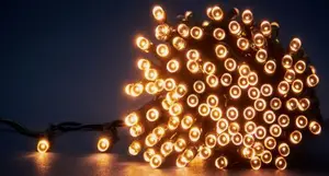 GUIRLANDE MULTIFONCTIONS 192 LEDS