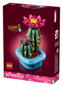 CACTUS FLEURI