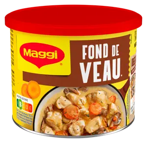 FOND OU FUMET MAGGI