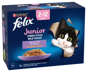 TENDRES EFFILES AU BOEUF POULET SAUMON TRUITE POUR CHAT JUNIOR FELIX