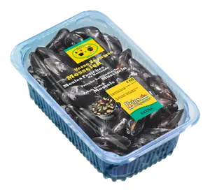 Moule de Hollande
