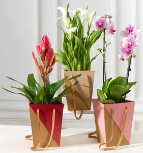 PLANTE FLEURIE