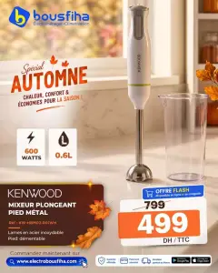 MIXEUR PLONGEANT PIED MÉTAL Réf : KW-HBM02.001WH Lames en acier inoxydable Pied: démentable 600 WATTS 0.6L
